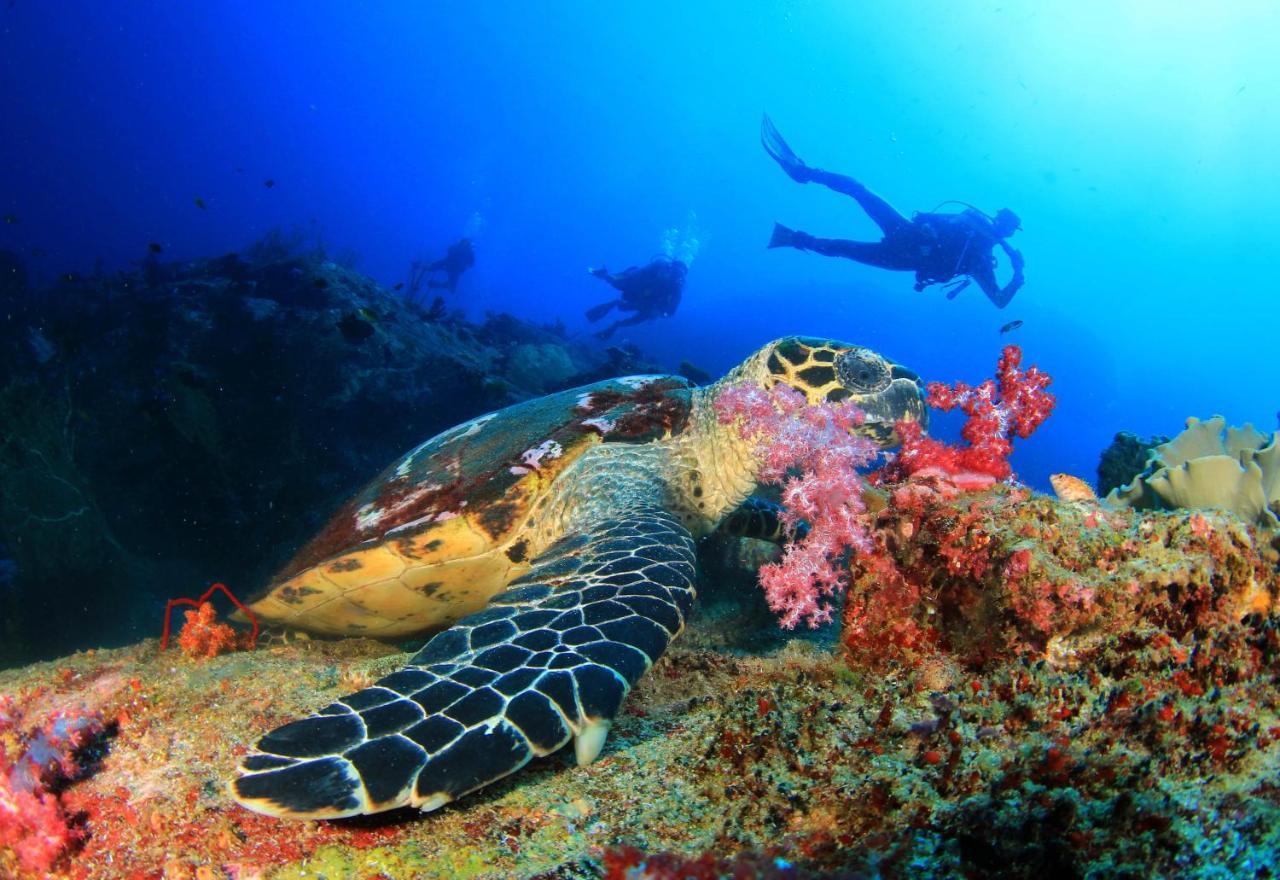 فندق Ayana Komodo Waecicu Beach لابوان باجو المظهر الخارجي الصورة